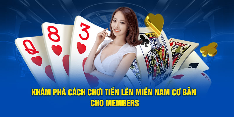 Khám phá cách chơi Tiến Lên miền Nam cơ bản cho members